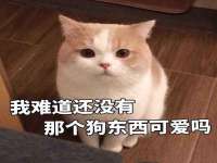 玉林市桑芫平科技有限公司