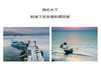 玉林市桑芫平科技有限公司