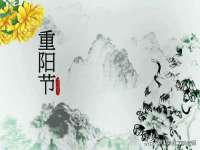 玉林市桑芫平科技有限公司
