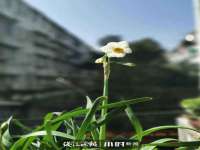 玉林市桑芫平科技有限公司