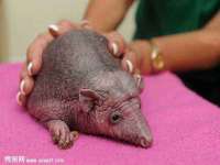 玉林市桑芫平科技有限公司
