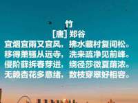 玉林市桑芫平科技有限公司