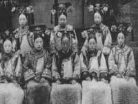 玉林市桑芫平科技有限公司