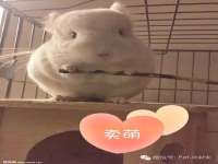 玉林市桑芫平科技有限公司