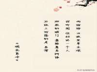 玉林市桑芫平科技有限公司