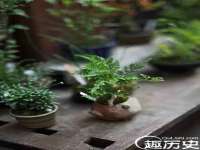 玉林市桑芫平科技有限公司