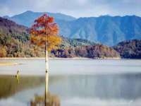 玉林市桑芫平科技有限公司