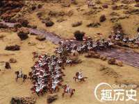 玉林市桑芫平科技有限公司