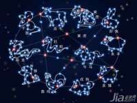 玉林市桑芫平科技有限公司
