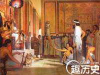 玉林市桑芫平科技有限公司