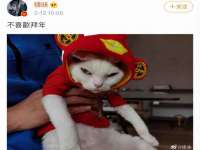 玉林市桑芫平科技有限公司