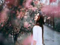 玉林市桑芫平科技有限公司