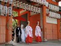 玉林市桑芫平科技有限公司