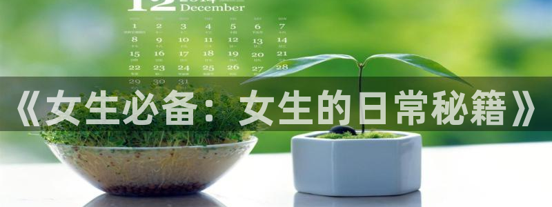 一点文学小说排行榜一点文学小说txt下载